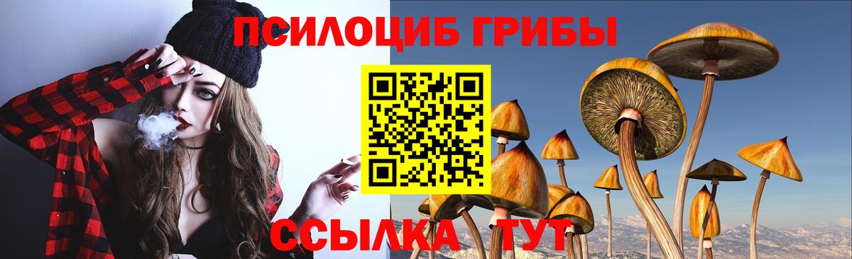 Галлюциногенные грибы Psilocybine cubensis Торжок